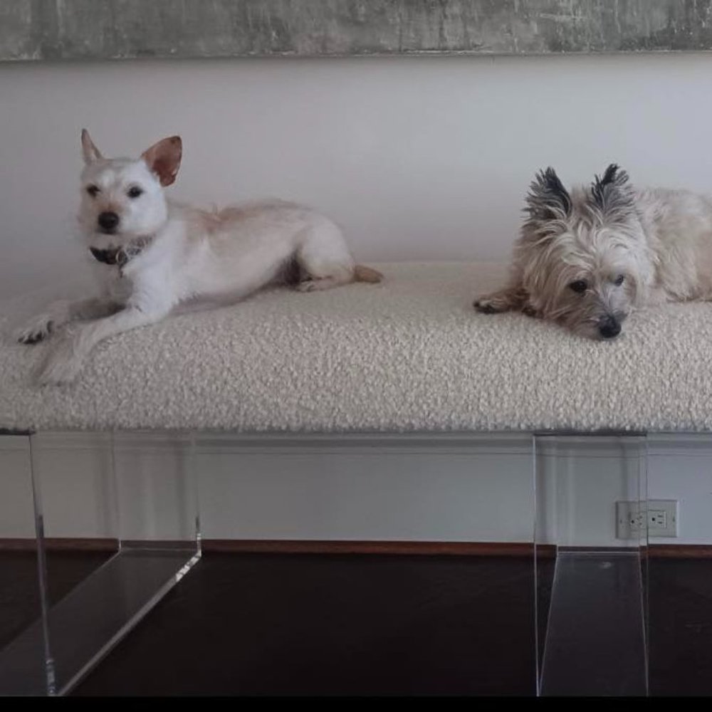 Meet your Posher, Kelly